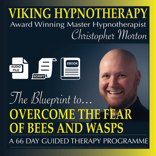 The Blueprint to Overcome the Fear of Bees and Wasps